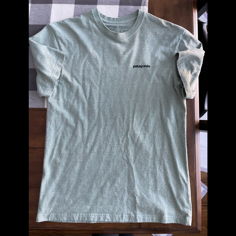 Men’s Patagonia tee